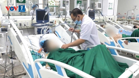 Một bệnh nhân nhiễm sốt rét ác tính với thể bệnh nguy kịch