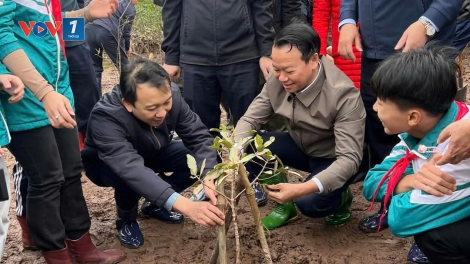 Các địa phương tích cực hưởng ứng phong trào trồng cây, trồng rừng  bảo vệ môi trường