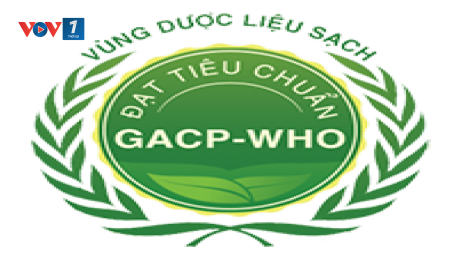 Chứng nhận 05 vùng trồng đạt chuẩn GACP-WHO