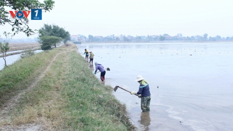 Phát triển kinh tế từ nguồn vốn ưu đãi - Đem mùa xuân đến với các hộ nghèo ở Nam Định