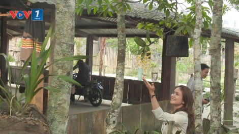 Nông nghiệp, nông dân, nông thôn phát triển dưới sự lãnh đạo của Đảng (3/2/2025)