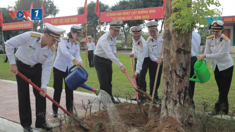 Vùng 3 Hải quân hưởng ứng Tết trồng cây Xuân Ất Tỵ