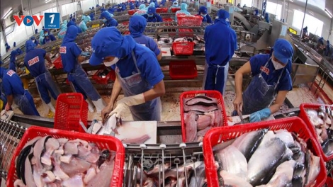 THỜI SỰ 12H 9/2/2025: Tháng 1, tổng kim ngạch xuất nhập khẩu Việt Nam - Hoa Kỳ đạt hơn 11 tỷ USD