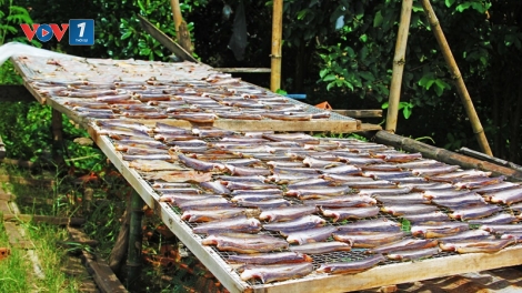 Đồng Tháp thu hồi giấy chứng nhận sản phẩm OCOP đối với 47 sản phẩm