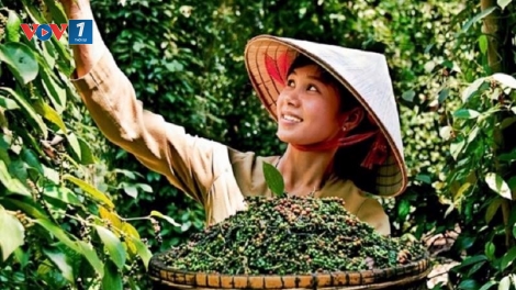 Bản tin 15h 20/2/2025