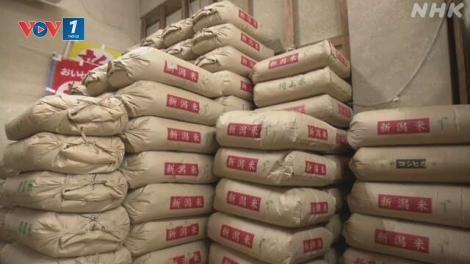 Người dân Nhật Bản “gồng mình” khi giá gạo tăng cao kỷ lục trong tháng thứ năm liên tiếp