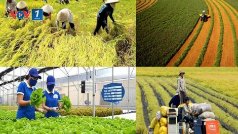Bản tin 9h 20/2/2025