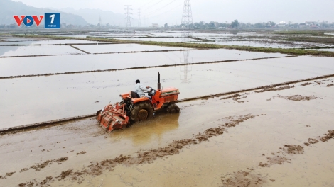 Nông dân miền núi Sơn La xuống đồng sản xuất vụ xuân