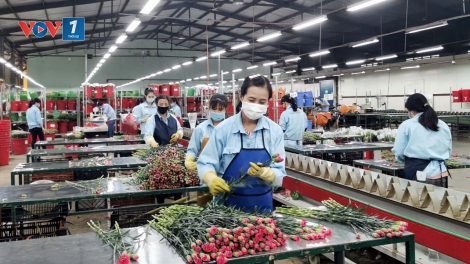 Lâm Đồng xây dựng thương hiệu để thúc đẩy sản xuất và xuất khẩu nông sản