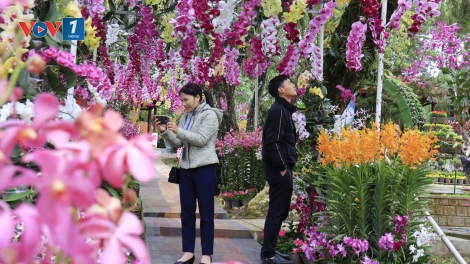 Hoa Đà Lạt mở khóa công nghệ để tăng sức cạnh tranh
