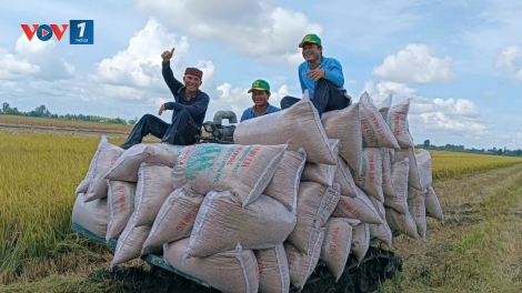 Làm gì để nông sản Việt tiếp tục tăng trưởng (20/02/2025)