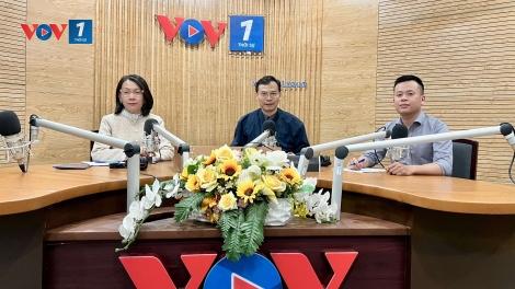Tai nạn giao thông dịp Tết giảm mạnh: Phát huy hiệu quả Nghị định 168