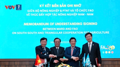Việt Nam và FAO ký biên bản ghi nhớ thúc đẩy hợp tác nông nghiệp Nam – Nam