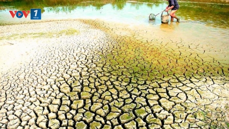 Chủ động ứng phó đợt xâm nhập mặn cao điểm ở Đồng bằng sông Cửu Long và TP Hồ Chí Minh