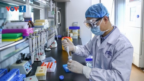 Trung Quốc phát hiện virus mới từ dơi giống COVID-19