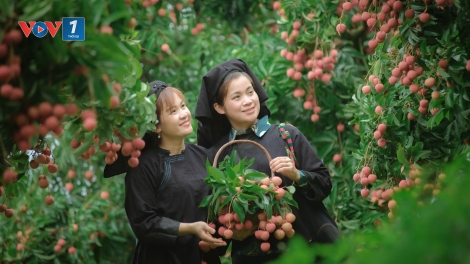 Theo dòng thời sự chiều 25/2/2025