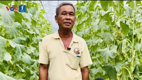 Chuyện ông Hồ Tấn Phong vươn lên nhờ nông sản sạch