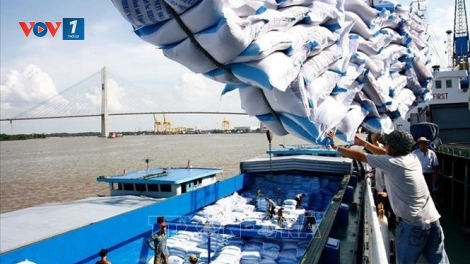 Giải bài toán trồi sụt của xuất khẩu gạo