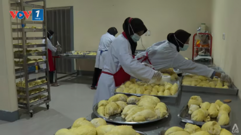 Indonesia lên kế hoạch xuất khẩu sầu riêng đông lạnh sang Trung Quốc vào cuối năm nay