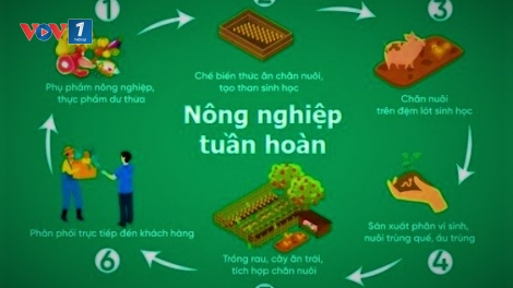 Phát triển nông nghiệp tuần hoàn: Những giải pháp cần thực hiện (17/3/2025)