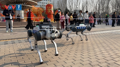 Bắc Kinh sử dụng chó robot tuần tra trong công viên