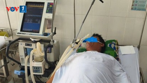 Cà Mau: Bốn người nhập viện do ăn cá nóc