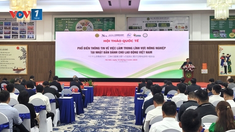 Cơ hội việc làm cho lao động nông nghiệp Việt Nam tại Nhật Bản