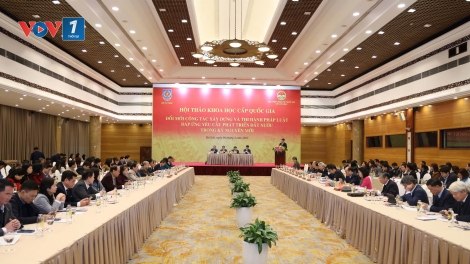 Cần một nghị quyết của Bộ Chính trị về đổi mới tư duy xây dựng và thi hành pháp luật