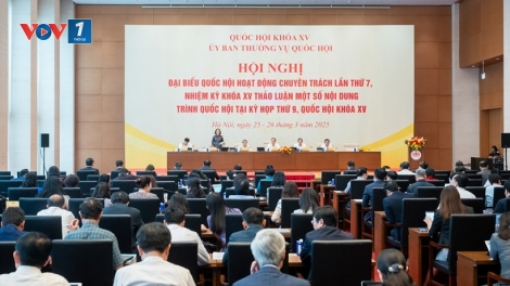 Thời sự 21h30 25/3/2025: Đại biểu Quốc hội: Chỉ nên cấm ép buộc học thêm vì vụ lợi