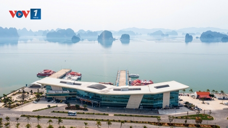 Quảng Ninh: Chưa thu vé tham quan vịnh Bái Tử Long