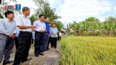 Đảm bảo nguồn nước khi hạn mặn xâm nhập khu vực Đồng bằng Sông Cửu Long