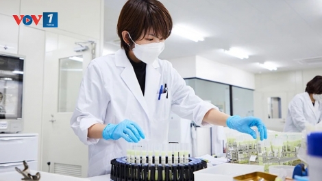 Nhật Bản phát triển công nghệ phân tích chuyển hóa tế bào siêu chính xác
