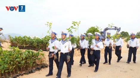 Vùng 4 Hải quân thí điểm phủ xanh bán đảo Cam Ranh