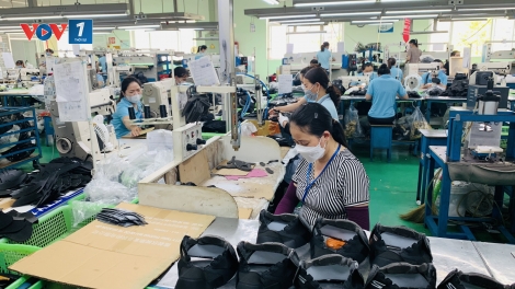 Tạo ra một môi trường pháp lý rõ ràng và ổn định về tăng trưởng xanh