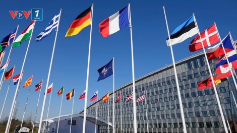 NATO: Đây không phải là lúc để Mỹ và châu Âu hành động đơn độc