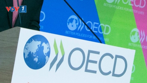 OECD hạ dự báo tăng trưởng toàn cầu do lo ngại chính sách thuế quan của Mỹ
