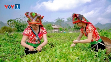 Du lịch nông thôn: Đòn bẩy phát triển kinh tế nông nghiệp (27/03/2025)