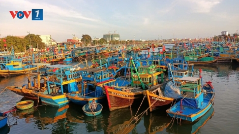 Quyết liệt xử lý nghiêm các hành vi khai thác hải sản bất hợp pháp (12/03/2025)