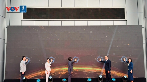 Phiên giao dịch và tư vấn việc làm quận Hai Bà Trưng năm 2025