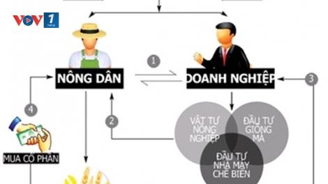Thúc đẩy chuỗi liên kết nông dân, doanh nghiệp (12+13/04/2025)