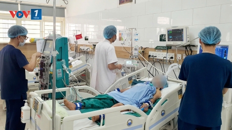 Hái nấm rừng về ăn, 2 vợ chồng hôn mê sâu, tổn thương và suy đa tạng (19/04/2025)