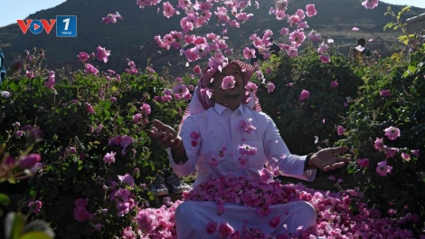 Khám phá "Thành phố hoa hồng" ở Saudi Arabia