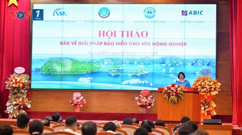 Bảo hiểm Agribank đề xuất mô hình bảo hiểm tổng thể cho HTX Quảng Ninh
