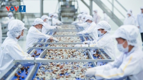 Khánh thành nhà máy chế biến thảo dược công nghệ cao tại Ninh Thuận