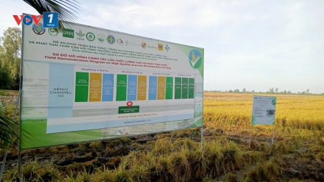 Theo dòng thời sự chiều 4/4/2025
