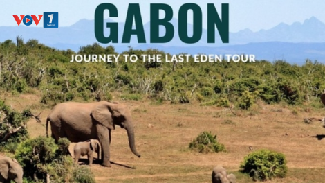 Gabon: "Vườn địa đàng" cuối cùng ở châu Phi nỗ lực thu hút du khách quốc tế