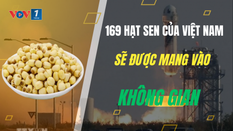169 hạt sen của Việt Nam sẽ được mang vào không gian
