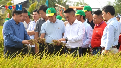 Nâng cao giá trị hạt gạo và thu nhập cho người trồng lúa (08/04/2025)