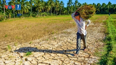 Thời sự 12h 19/4/2025: Nhiều địa phương xuất hiện tình trạng khô hanh hiếm thấy