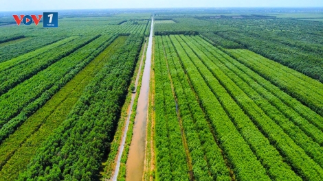 Cà Mau: Hơn 3.600 ha rừng báo cháy cấp cực kỳ nguy hiểm